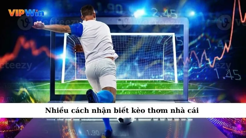 Nhiều cách nhận biết kèo thơm nhà cái