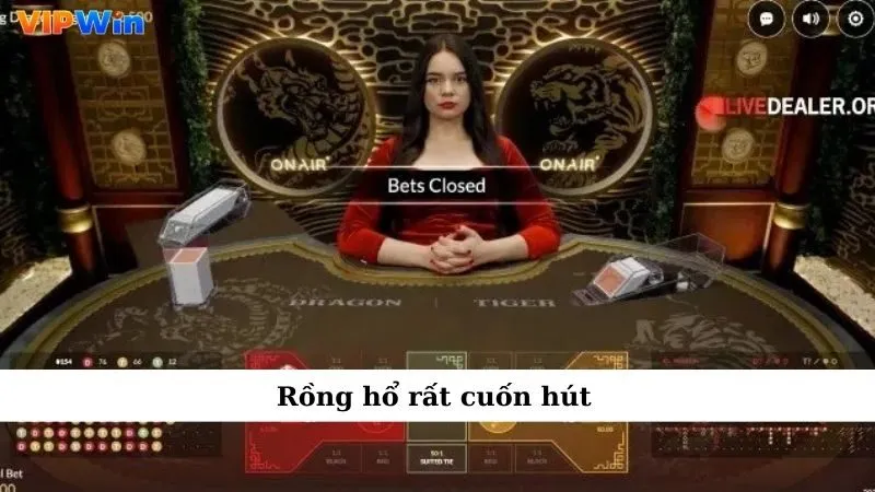 Rồng hổ rất cuốn hút