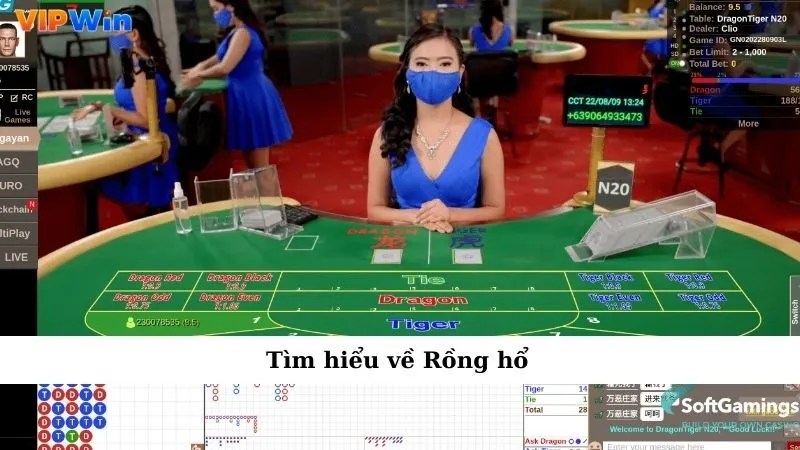 Tìm hiểu về Rồng hổ