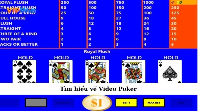 Tìm hiểu về Video Poker
